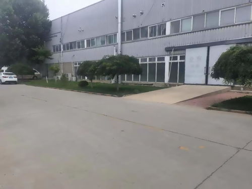 推推99 塑造房地產精英的理想平臺