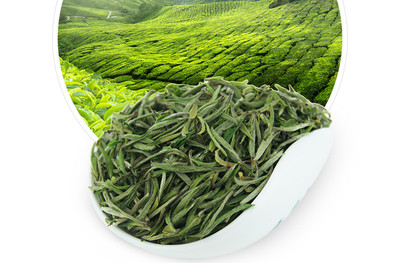 龍合嫩芽安徽明前春茶黃山毛峰毛尖徽茶250g罐裝茶葉