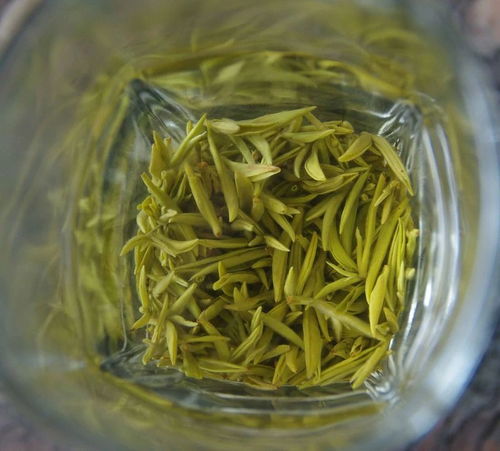 踔厲奮發二十載,雅山雅水變 茶海 寫在 世界茶文化蒙頂山宣言 發布20周年之際