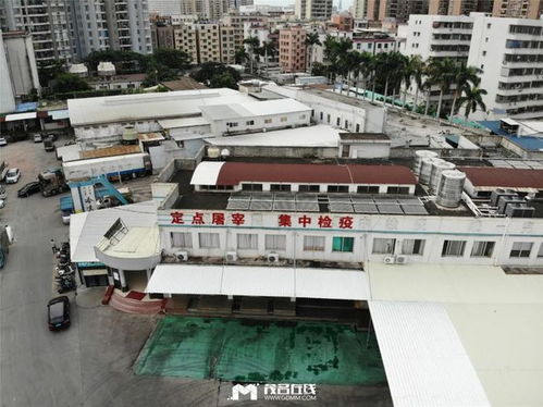 有22年的茂名肉聯(lián)廠,對(duì)附近居民影響越來(lái)越大 適合建在市區(qū)嗎